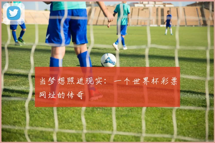 当梦想照进现实：一个世界杯彩票网址的传奇