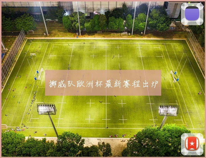 挪威队欧洲杯最新赛程出炉