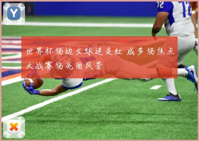 世界杯场边女球迷走红 成多场焦点大战赛场亮丽风景